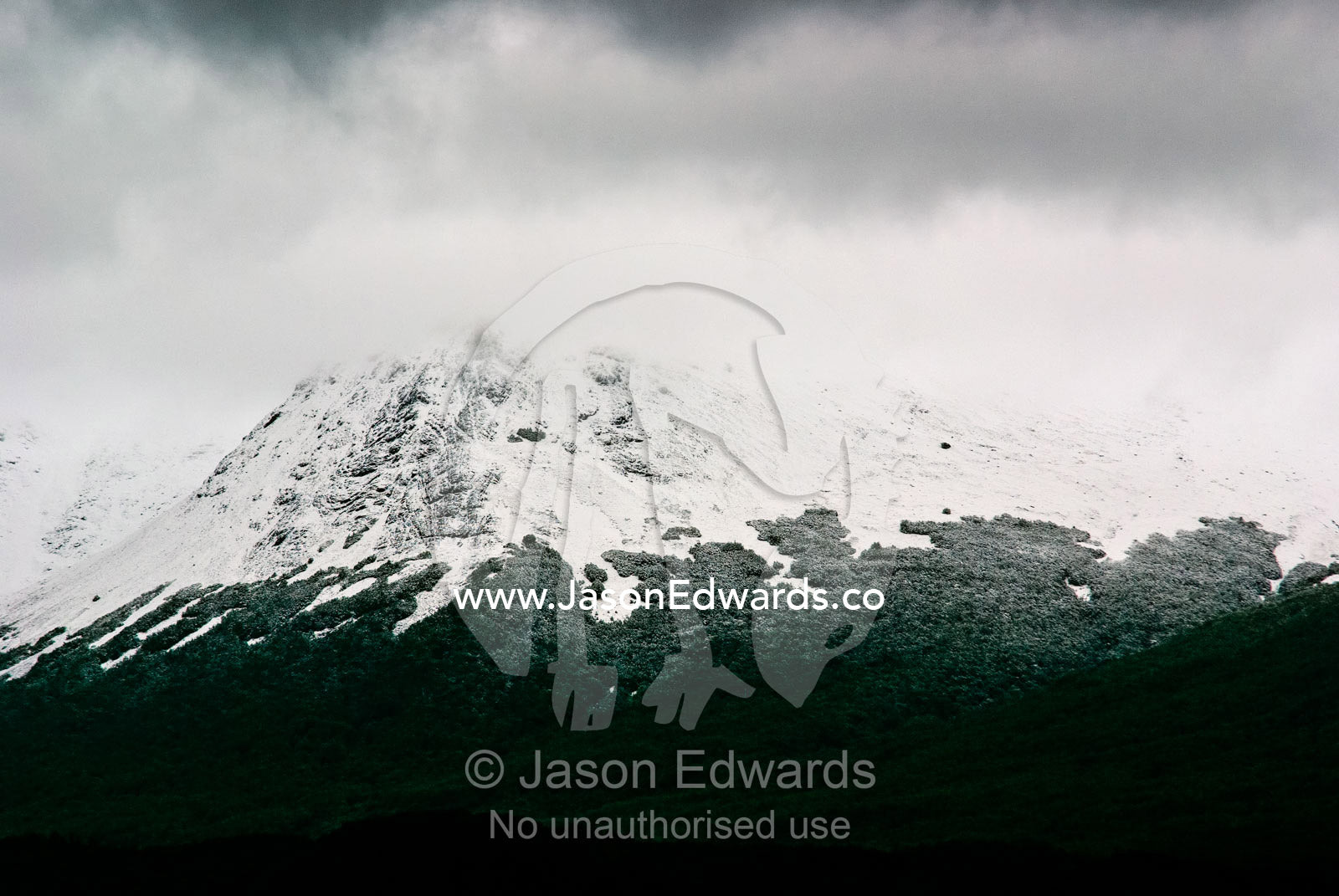 A dusting of snow covers a beech forest canopy on a mountainside. Glacier El Martial, Ushuaia, Fuegian Andes, Tierra del Fuego Archipelago, Straits of Magellan, Tierra del Fuego Province, Patagonia, Argentina.