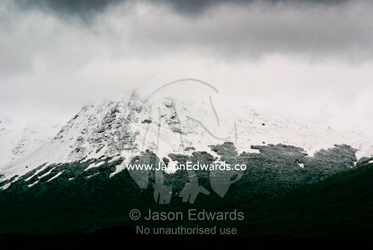 A dusting of snow covers a beech forest canopy on a mountainside. Glacier El Martial, Ushuaia, Fuegian Andes, Tierra del Fuego Archipelago, Straits of Magellan, Tierra del Fuego Province, Patagonia, Argentina.