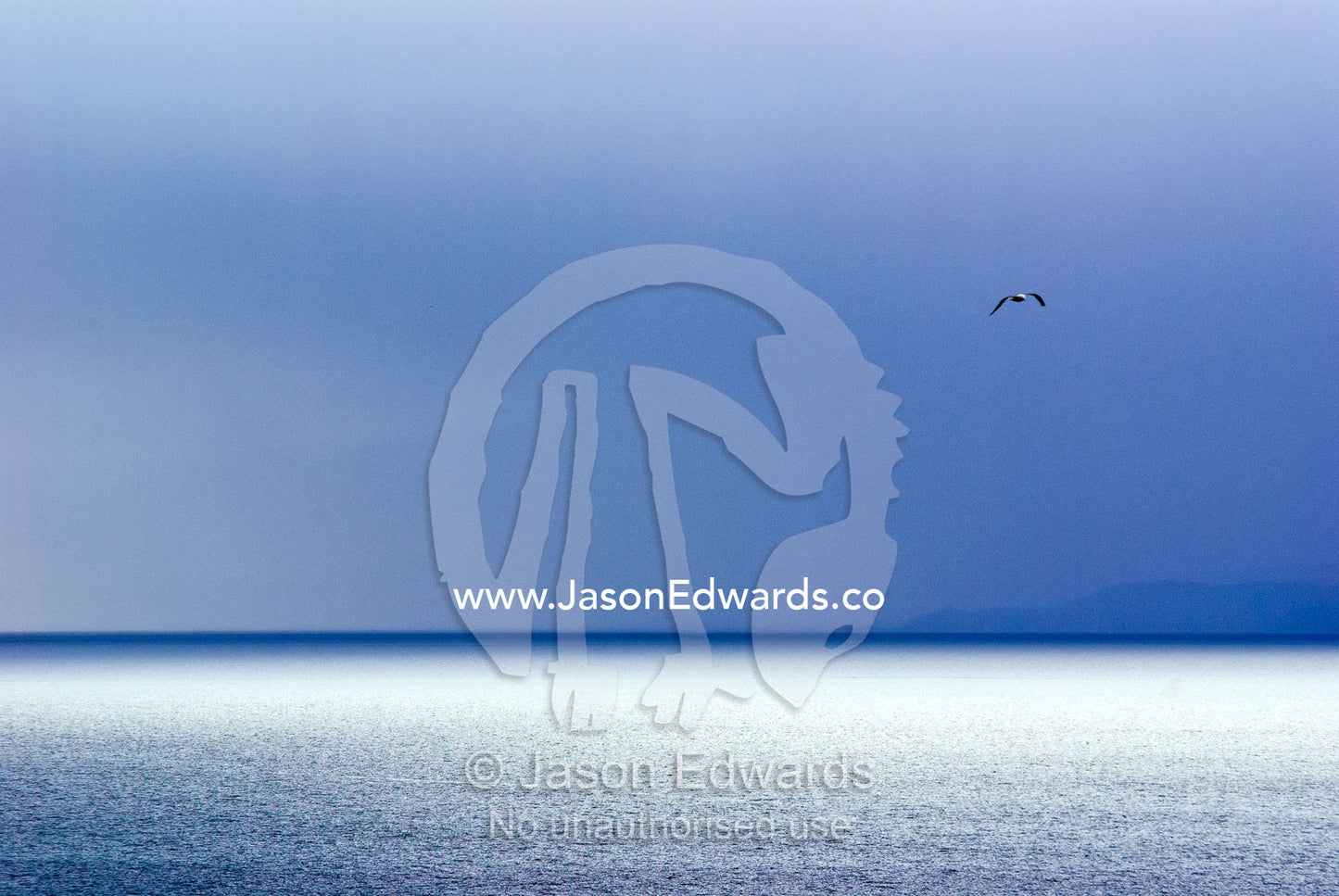 A lone gull in flight over a silver ocean and descending storm front. Ushuaia Bay, The Beagle Channel, Tierra del Fuego Archipelago, Straits of Magellan, Ushuaia, Tierra del Fuego Province, Patagonia, Argentina.