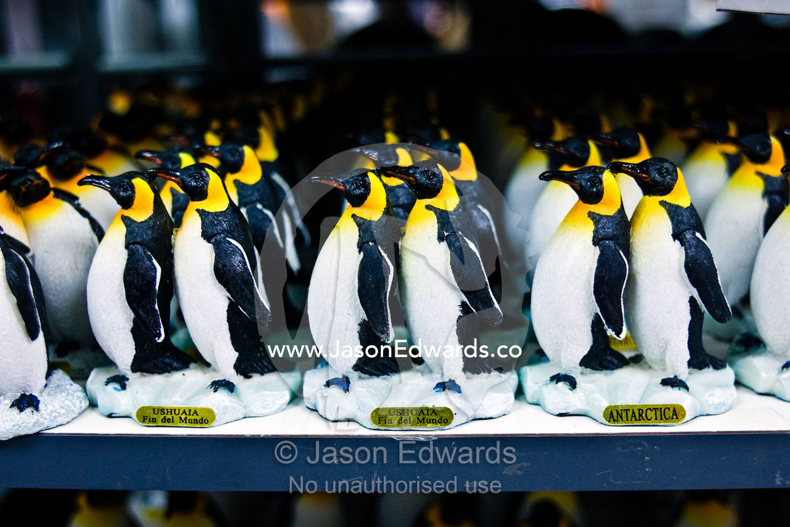 An army of souvenir penguins for sale to tourists visiting Antarctica. Ushuaia, Tierra del Fuego Archipelago, Straits of Magellan, Tierra del Fuego Province, Patagonia, Argentina.