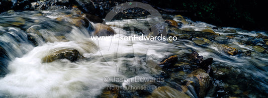 An alpine stream flows over boulders in a river bed in a beech forest. Glacier El Martial, Ushuaia, Fuegian Andes, Tierra del Fuego Archipelago, Straits of Magellan, Tierra del Fuego Province, Patagonia, Argentina.