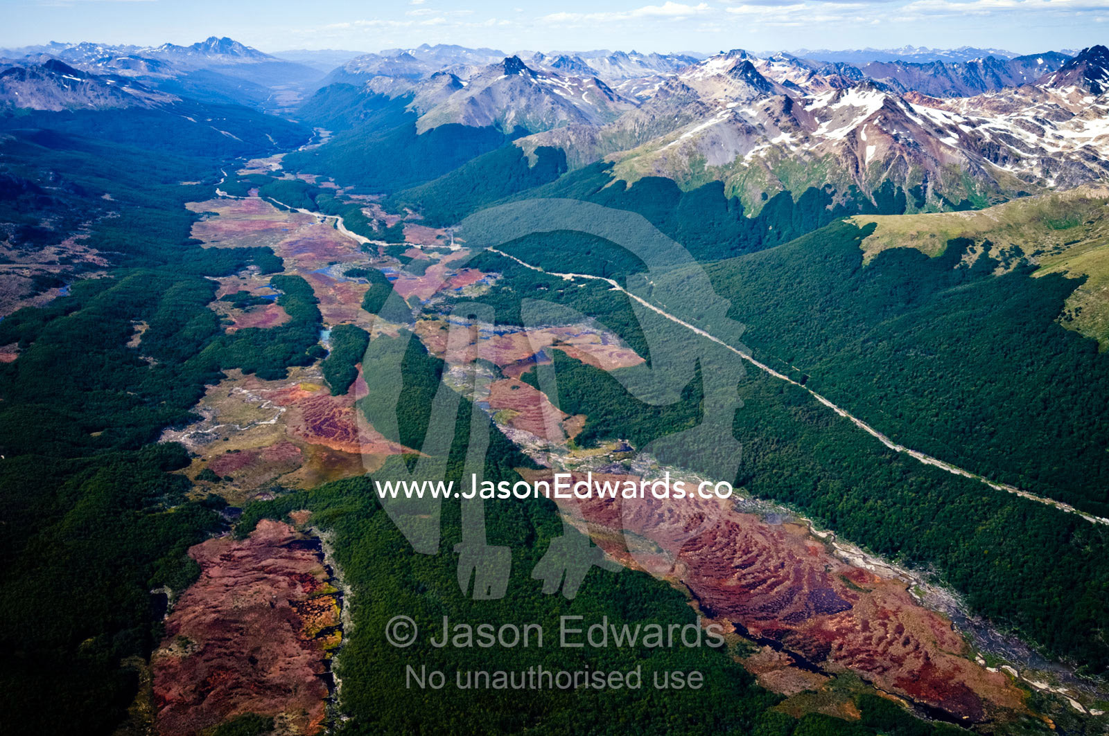 The Pan-American Highway cuts along an Andes valley and beech forest. Martial Mountains, Fuegian Andes, Tierra del Fuego Archipelago, Strait of Magellan, Tierra del Fuego Province, Patagonia, Argentina.