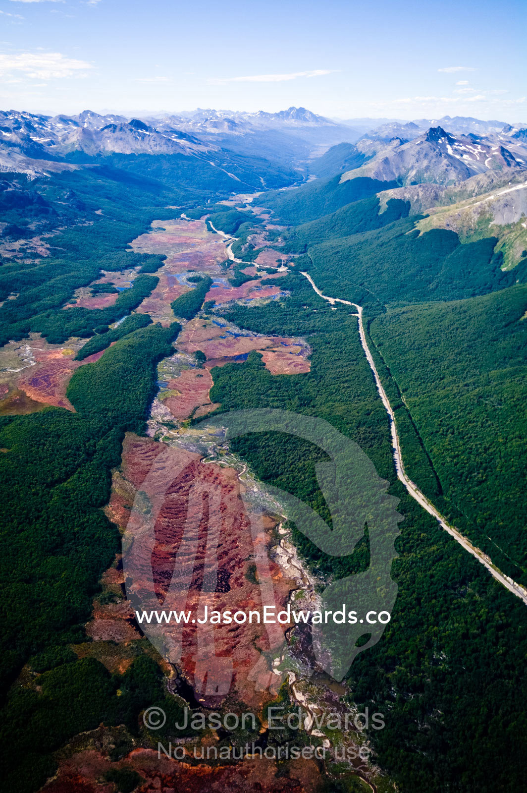 The Pan-American Highway cuts along an Andes valley and beech forest. Martial Mountains, Fuegian Andes, Tierra del Fuego Archipelago, Strait of Magellan, Tierra del Fuego Province, Patagonia, Argentina.
