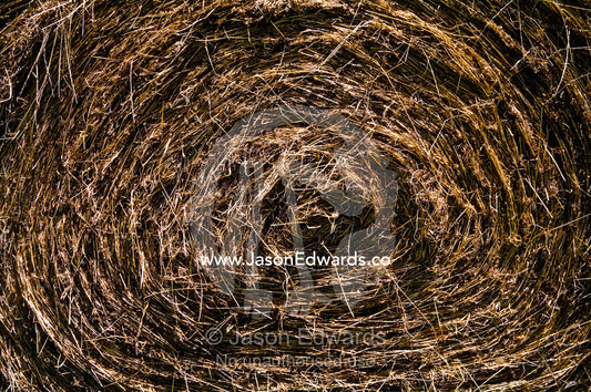 After harvesting the textured circular layers of a round hay bail. Walkerville, South Gippsland, Victoria, Australia.