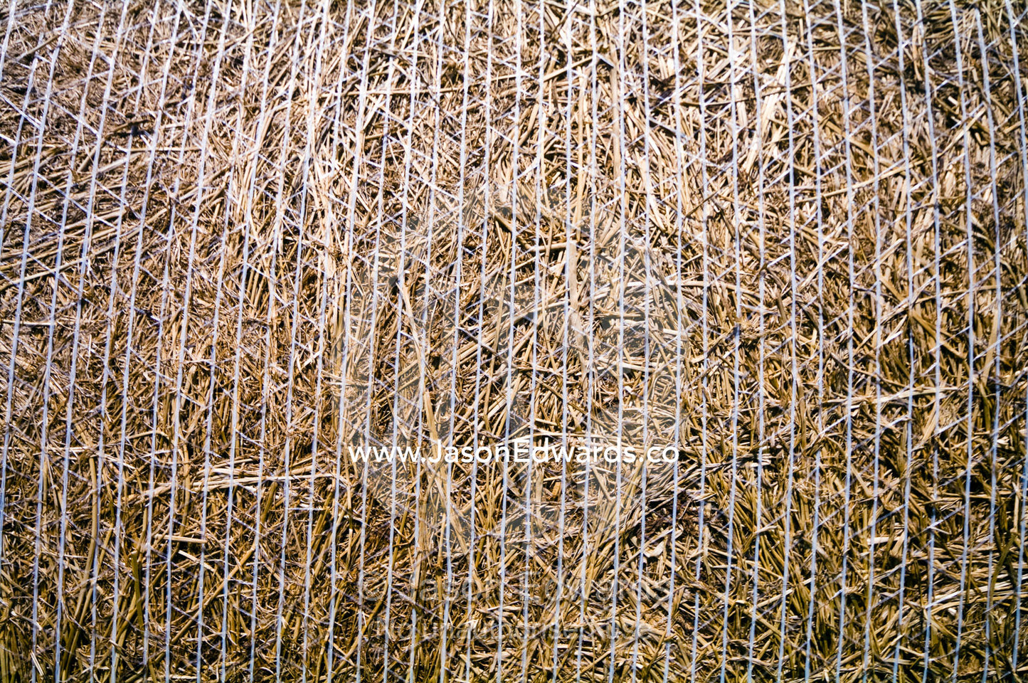 After harvesting round hay bails are tied tightly with nylon string. Walkerville, South Gippsland, Victoria, Australia.