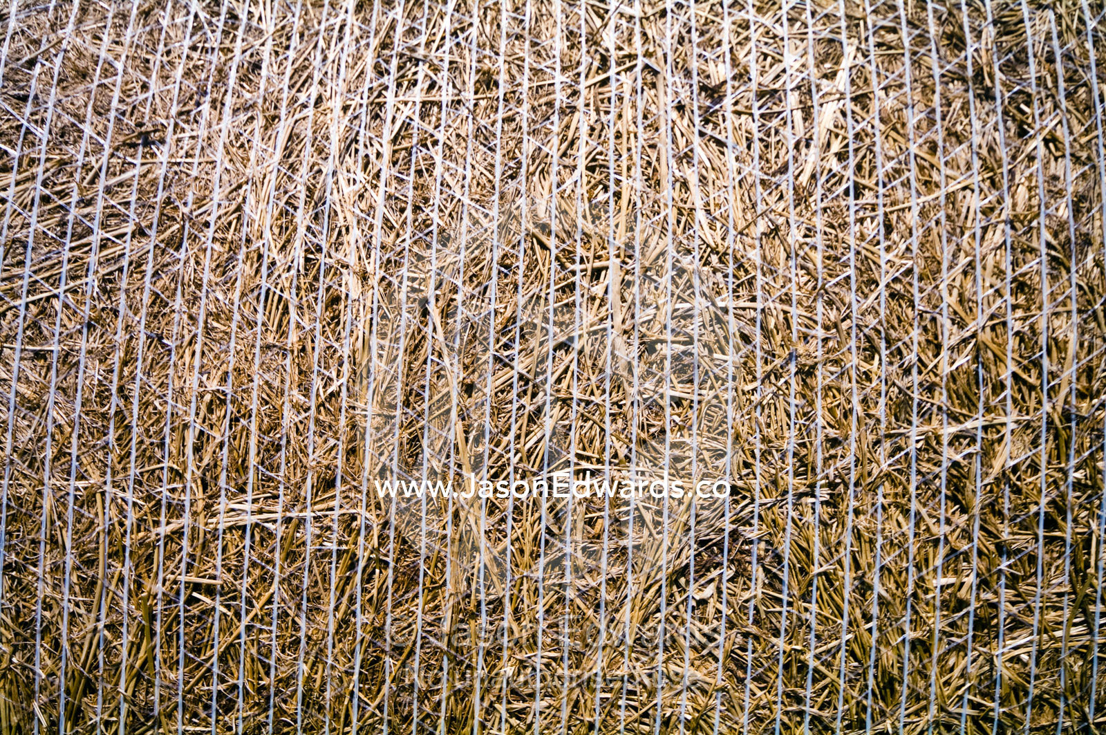 After harvesting round hay bails are tied tightly with nylon string. Walkerville, South Gippsland, Victoria, Australia.