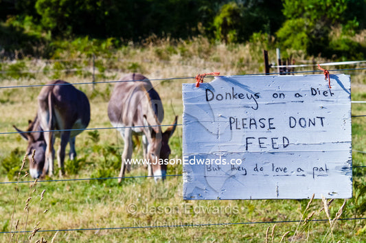 A handwritten sign asks people not to feed the fat domestic donkeys. Venus Bay, Bass Strait, South Gippsland, Victoria, Australia.
