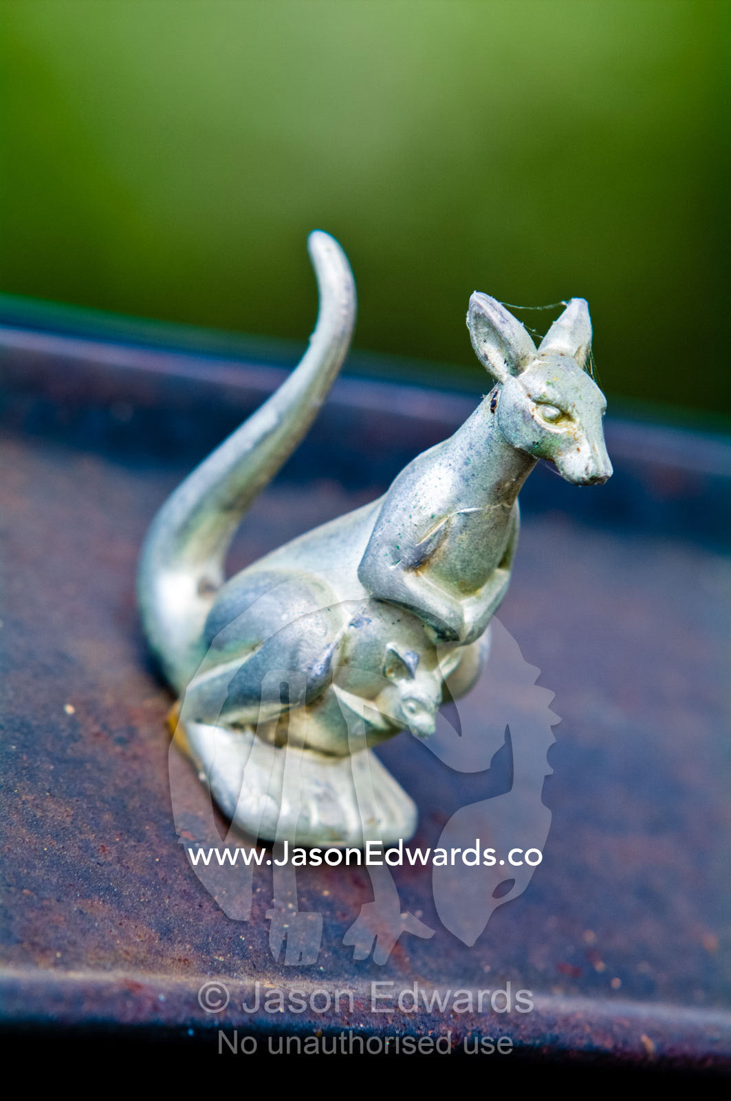 An ornamental silver kangaroo and joey on the roof of an antique car. Fish Creek, South Gippsland, Victoria, Australia.