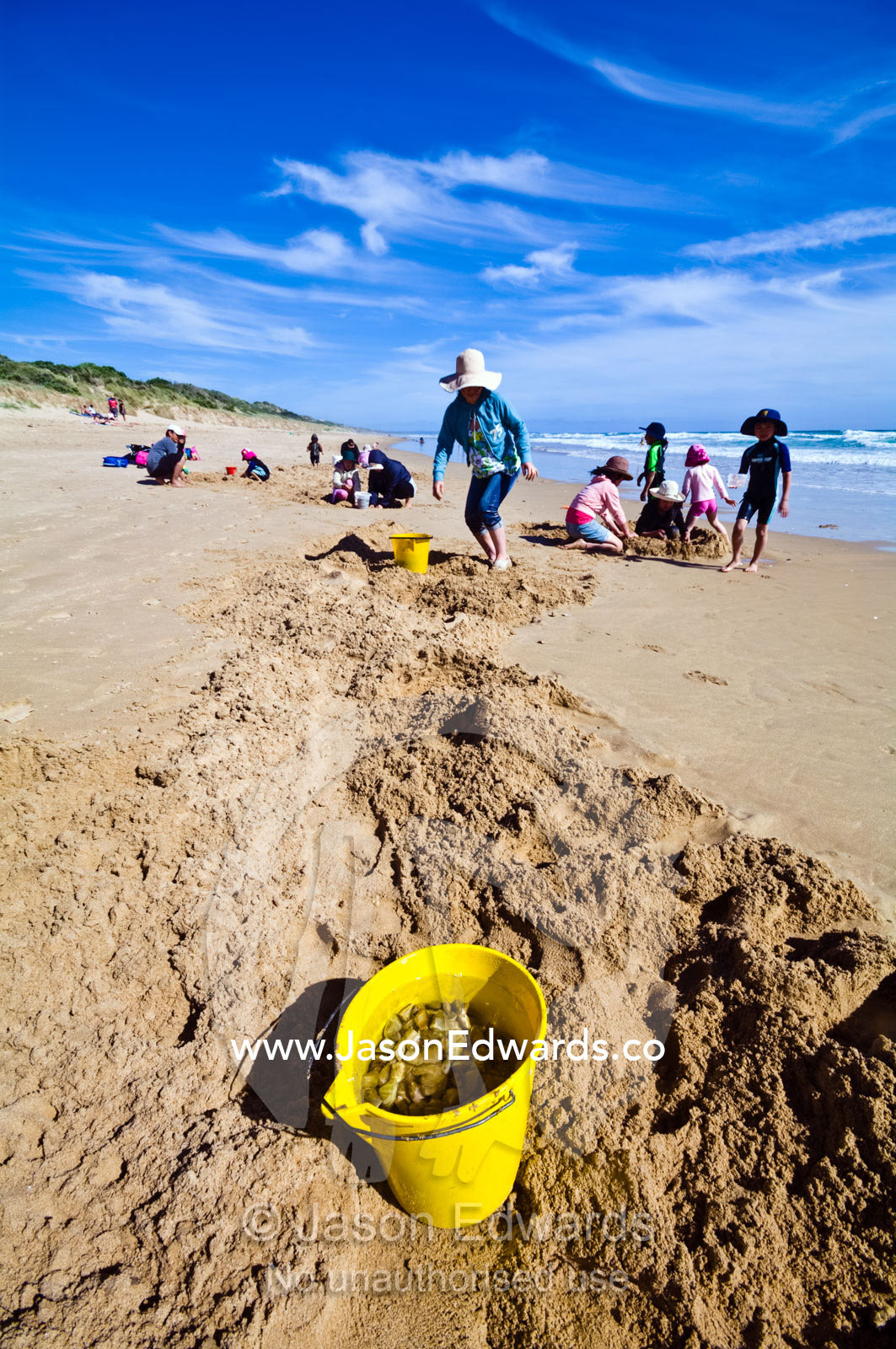 Families dig in the sand to collect pipi from the beach at low tide. Venus Bay, Cape Liptrap Coastal Park, Bass Strait, South Gippsland, Victoria, Australia.