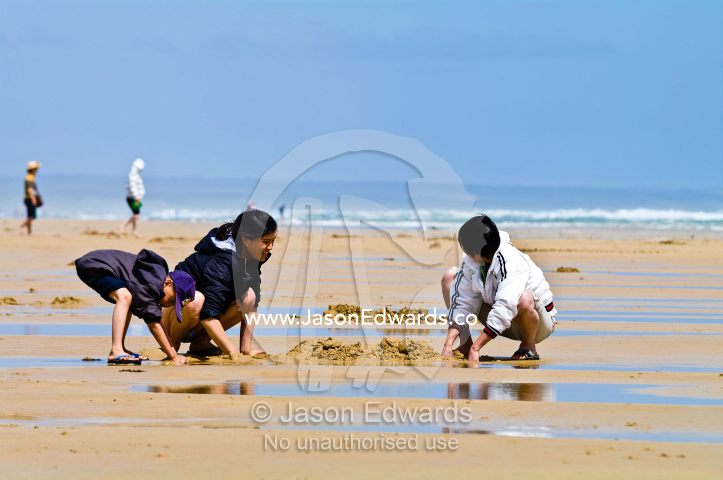 Families dig in the sand to collect pipi from the beach at low tide. Venus Bay, Cape Liptrap Coastal Park, Bass Strait, South Gippsland, Victoria, Australia.