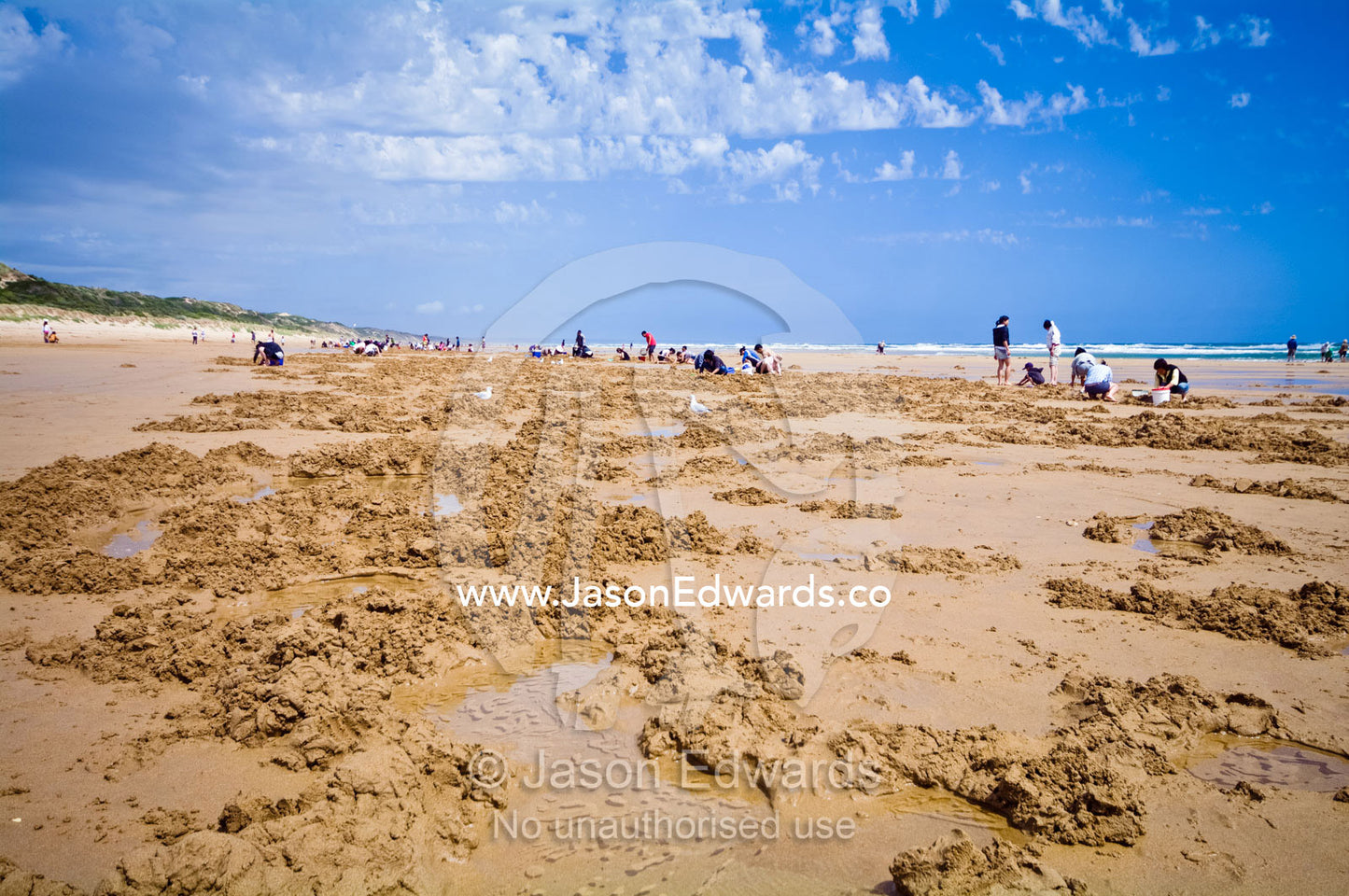 The digging tailings from families harvesting pipi on the beach. Venus Bay, Cape Liptrap Coastal Park, Bass Strait, South Gippsland, Victoria, Australia.