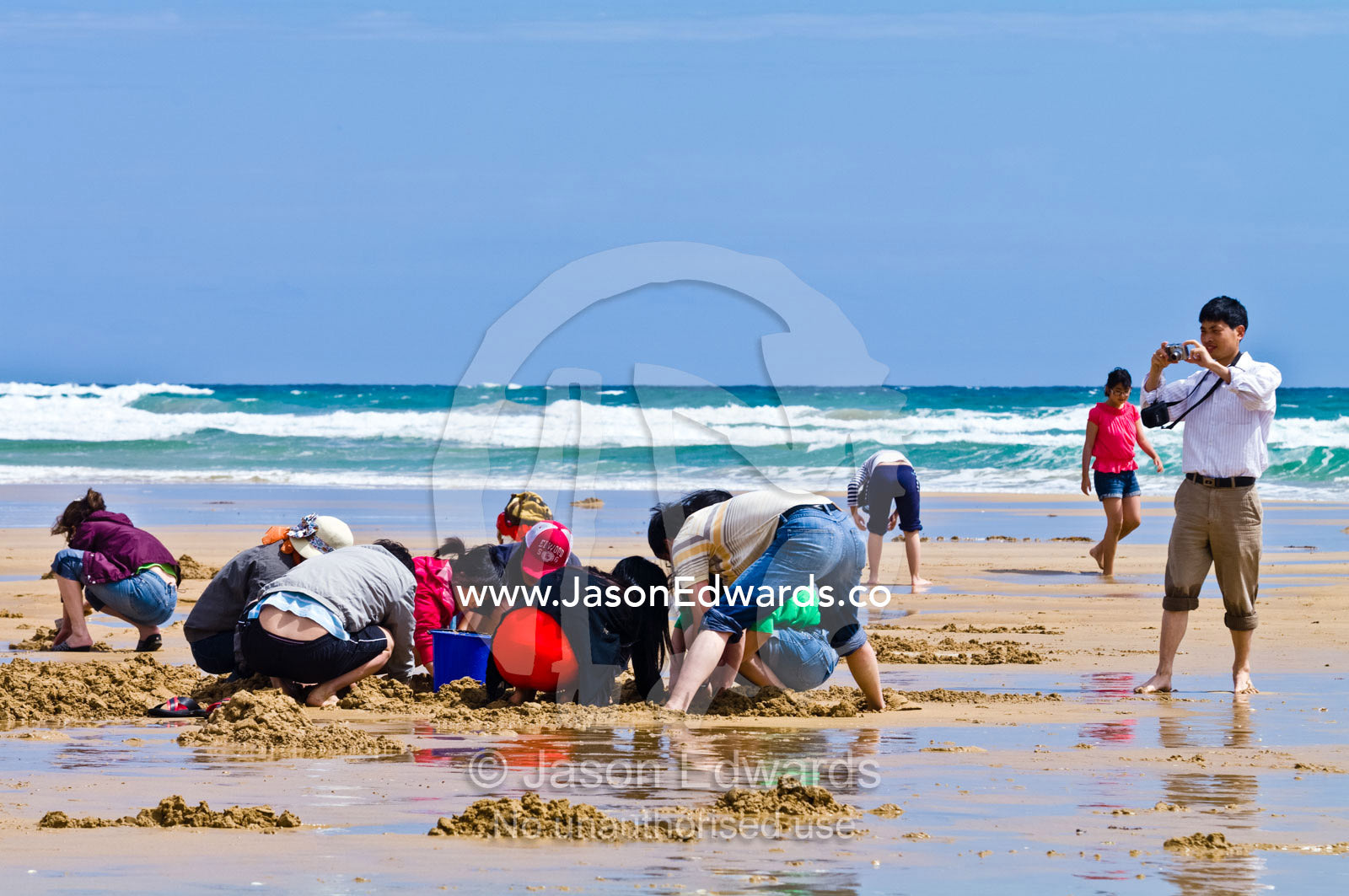 Families dig in the sand to collect pipi from the beach at low tide. Venus Bay, Cape Liptrap Coastal Park, Bass Strait, South Gippsland, Victoria, Australia.