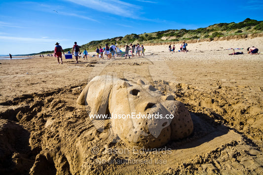 A hippopotamus sand sculpture carved into a beach at low tide. Venus Bay, Cape Liptrap Coastal Park, Bass Strait, South Gippsland, Victoria, Australia.