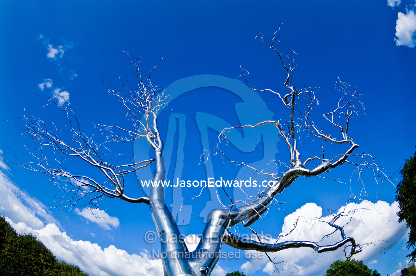 The stark branches of a stainless steel tree reach into a blue sky. The National Gallery of Art Sculpture Garden, National Gallery of Art, National Mall, District of Columbia, United States of America