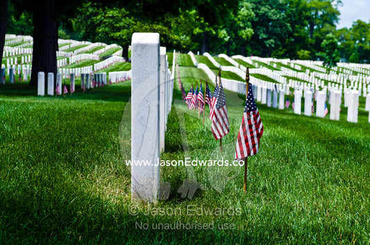 On Memorial Day American flags adorn cemetery tombstones and graves. Arlington National Cemetery, Arlington, Virginia, United States of America.