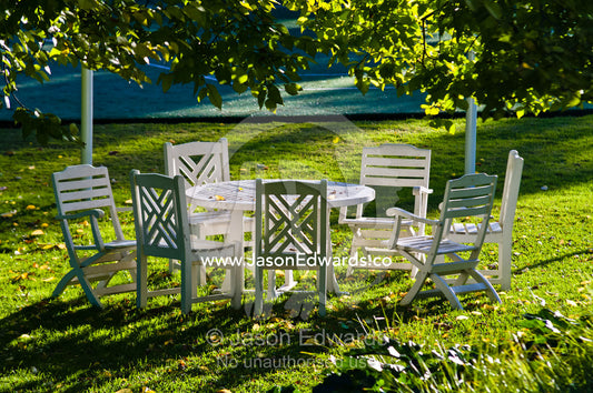 A garden table and chairs in the afternoon beneath a large Elm tree. Hawthorn, Melbourne, Victoria, Australia.