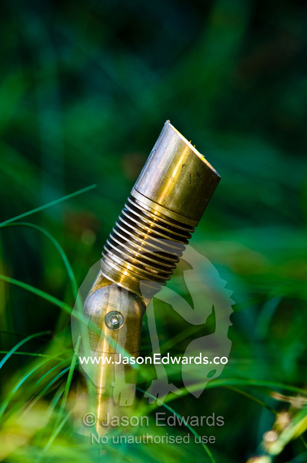An elegant brass lighting fixture emerges from grasses in a garden. Hawthorn, Melbourne, Victoria, Australia.