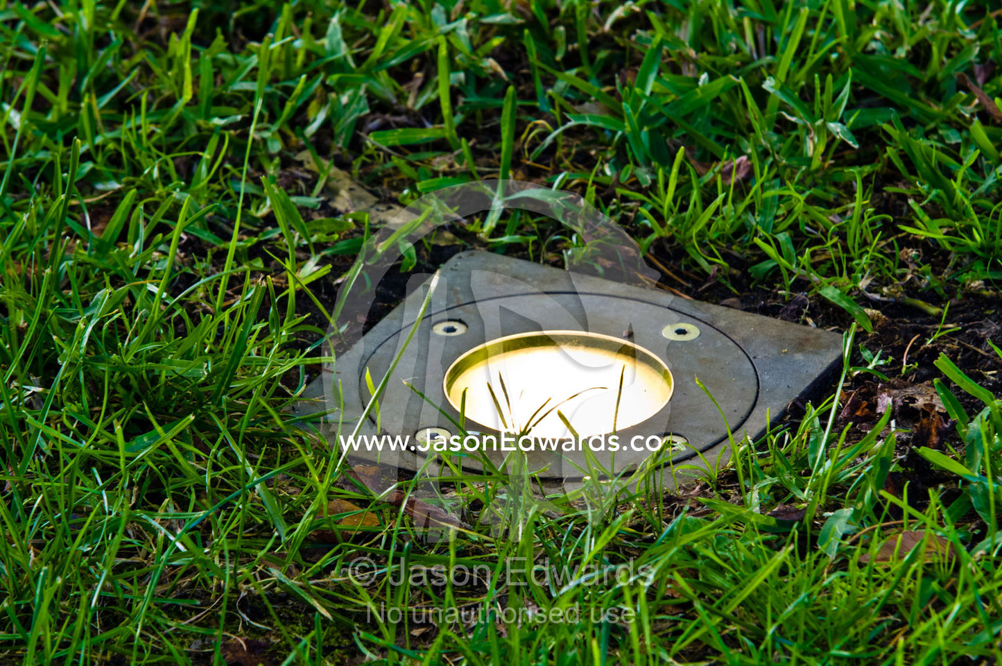An LED light in a brass fitting resting in a garden lawn. Hawthorn, Melbourne, Victoria, Australia.