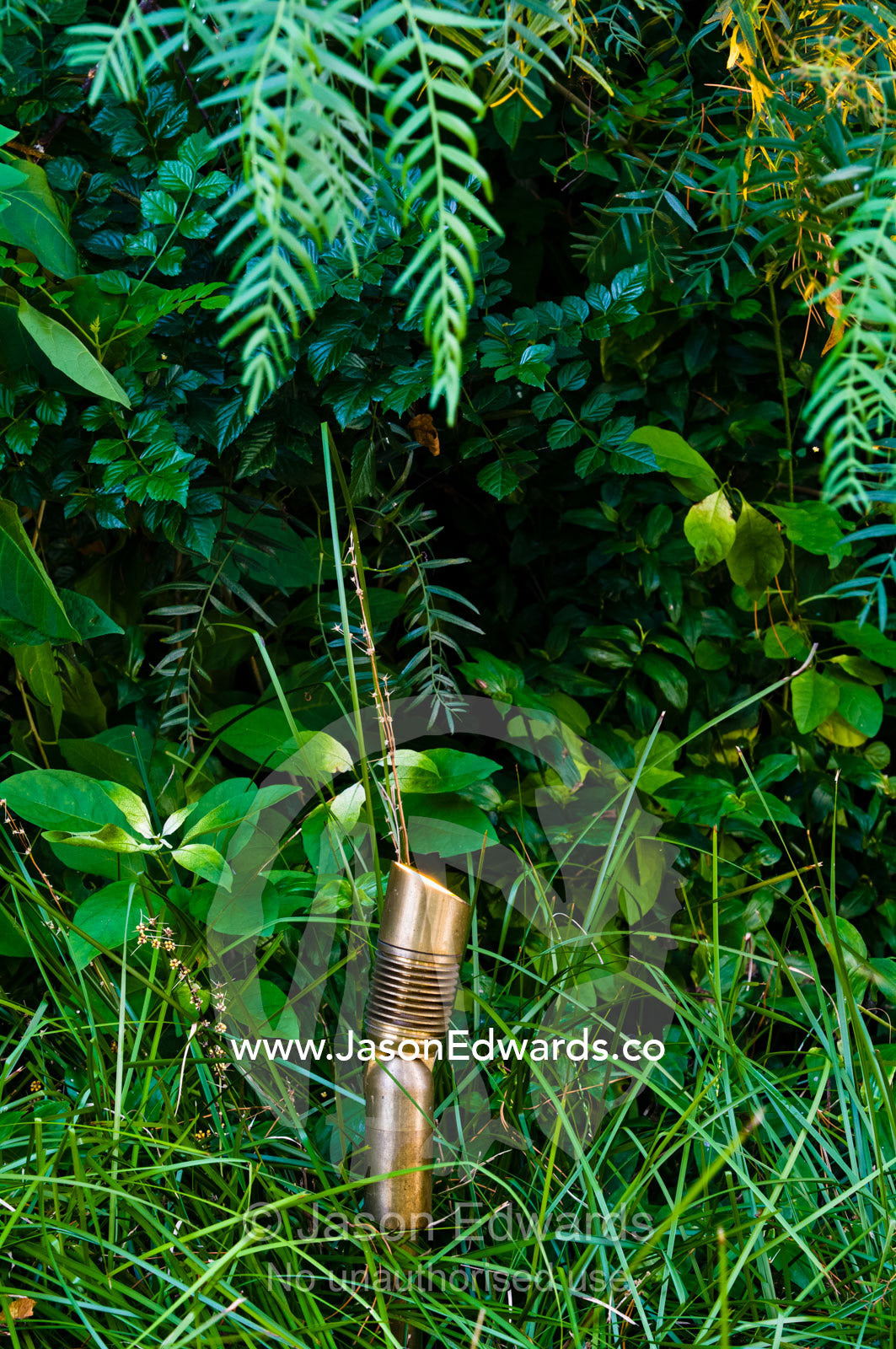 An elegant brass lighting fixture emerges from grasses in a garden. Hawthorn, Melbourne, Victoria, Australia.