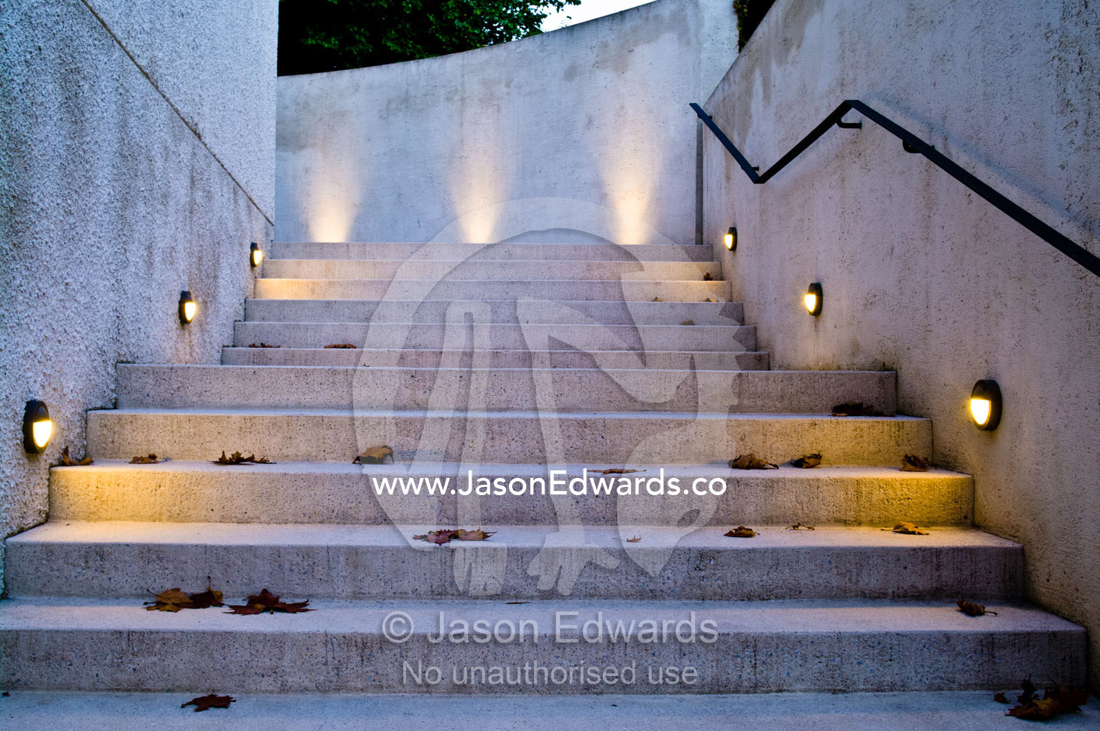 LED lighting in brass fixtures illuminate garden steps for safety. Hawthorn, Melbourne, Victoria, Australia.