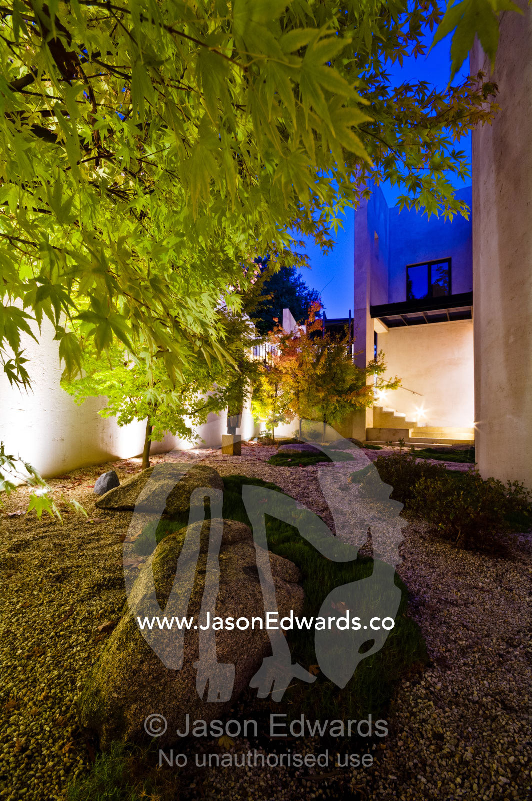 A stone garden with deciduous Japanese Maples lit by LED's at night. Hawthorn, Melbourne, Victoria, Australia.