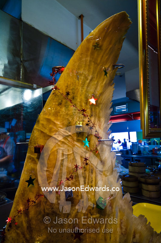 A dried shark fin decorated as a Christmas tree in a mall food court. MBK Centre, Mahboonkrong Shopping Center, Bangkok, Thailand.