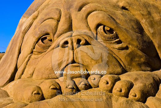 A professional sand sculpture of a droopy eyed dog with saggy jowls. Frankston, Port Phillip Bay, Melbourne, Victoria, Australia.