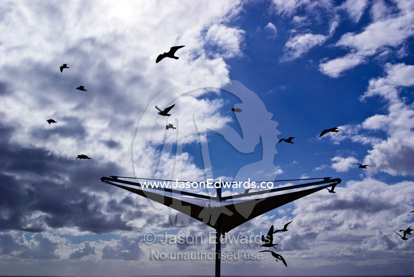 Silver Gulls hovering on the wind over a beach picnic table shelter. Frankston, Port Phillip Bay, Melbourne, Victoria, Australia.