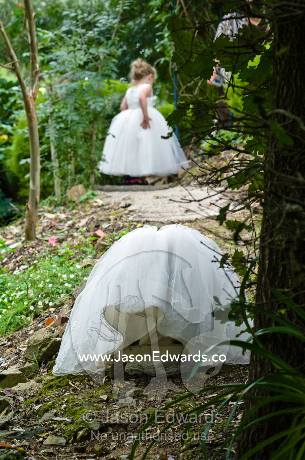 A flower girl falls over whilst climbing a path at a garden wedding. Park Orchards, Melbourne, Victoria, Australia.