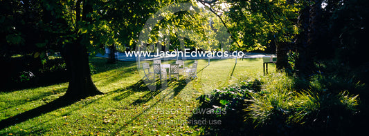 A garden table and chairs in the afternoon beneath a large Elm tree. Hawthorn, Melbourne, Victoria, Australia.