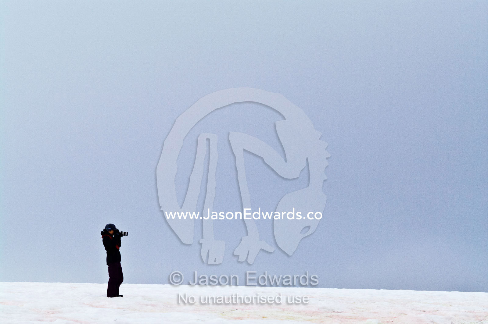A lone tourist photographing on a windswept hillside in Antarctica. Prospect Point, Crystal Sound, Antarctic Peninsula, Antarctic Circle, Antarctica.