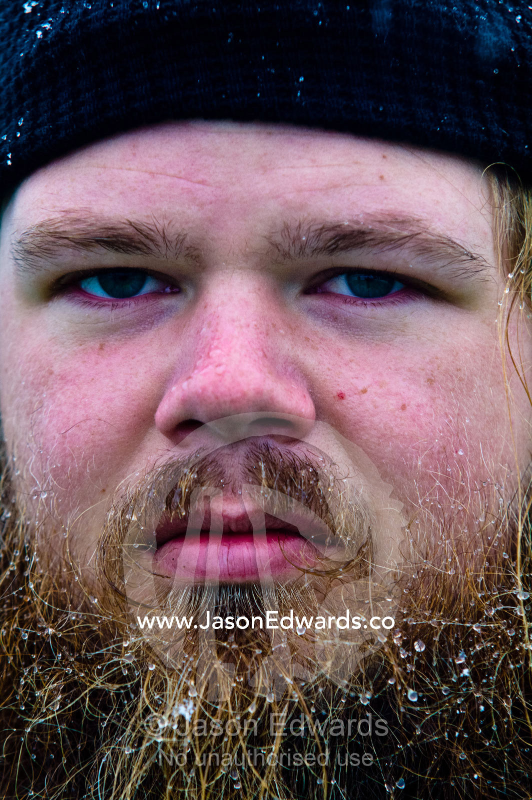 Snow melting in the beard of a serious looking tourist in Antarctica. Pleneau and Booth Island, Bellingshausen Sea, Antarctic Peninsula, Antarctica.