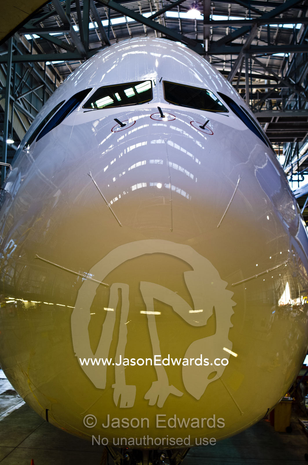 A jet airline cockpit and nose cone in a hangar for maintenance. Kingsford Smith Airport, Mascot, Sydney, New South Wales, Australia.
