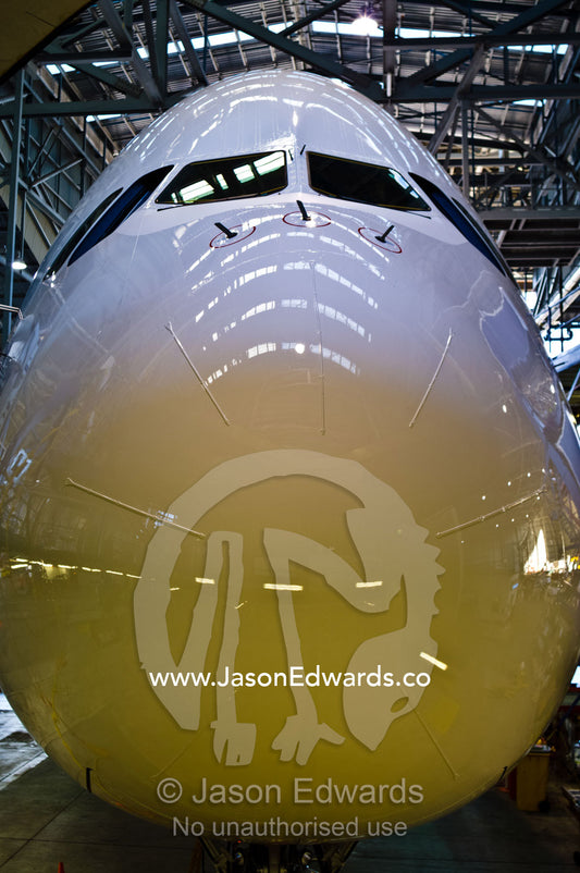 A jet airline cockpit and nose cone in a hangar for maintenance. Kingsford Smith Airport, Mascot, Sydney, New South Wales, Australia.