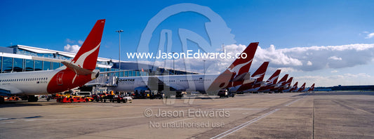 A row of jet airplanes parked at a terminal to collect passengers. Kingsford Smith Airport, Mascot, Sydney, New South Wales, Australia.