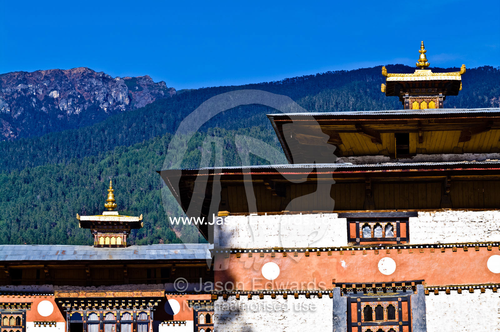 The eaves, golden spires and roofline of a Buddhist astrology school in a forested valley. Pangri Zampa Astrology School, Thimphu, Thimphu District, Bhutan.