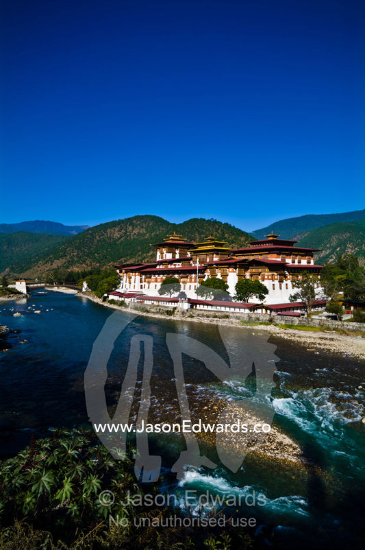 The turquoise waters of an alpine river flowing from the Himalaya pass a Buddhist monastery. Punakha Dzong, Punakha dzongkhag, Punakha District, Bhutan.