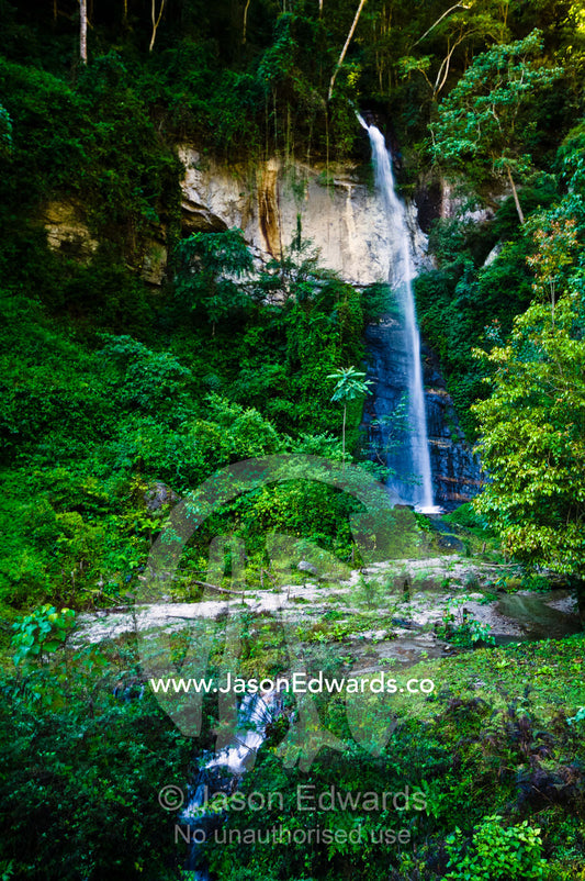 A waterfall cascades over a cliff in a curtain of mist from a dense mountain forest. Jigme Dorji National Park, Gasa District, Bhutan.