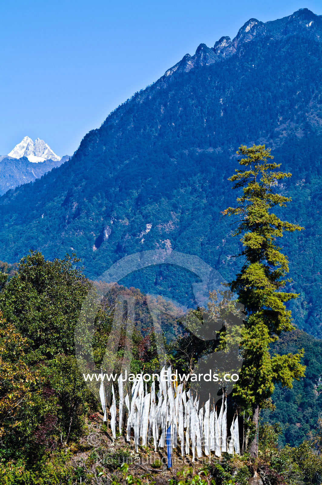 Prayer flags flapping in the wind on a mountainside overlooking a steep valley covered in forest. Jigme Dorji National Park, Gasa District, Bhutan.