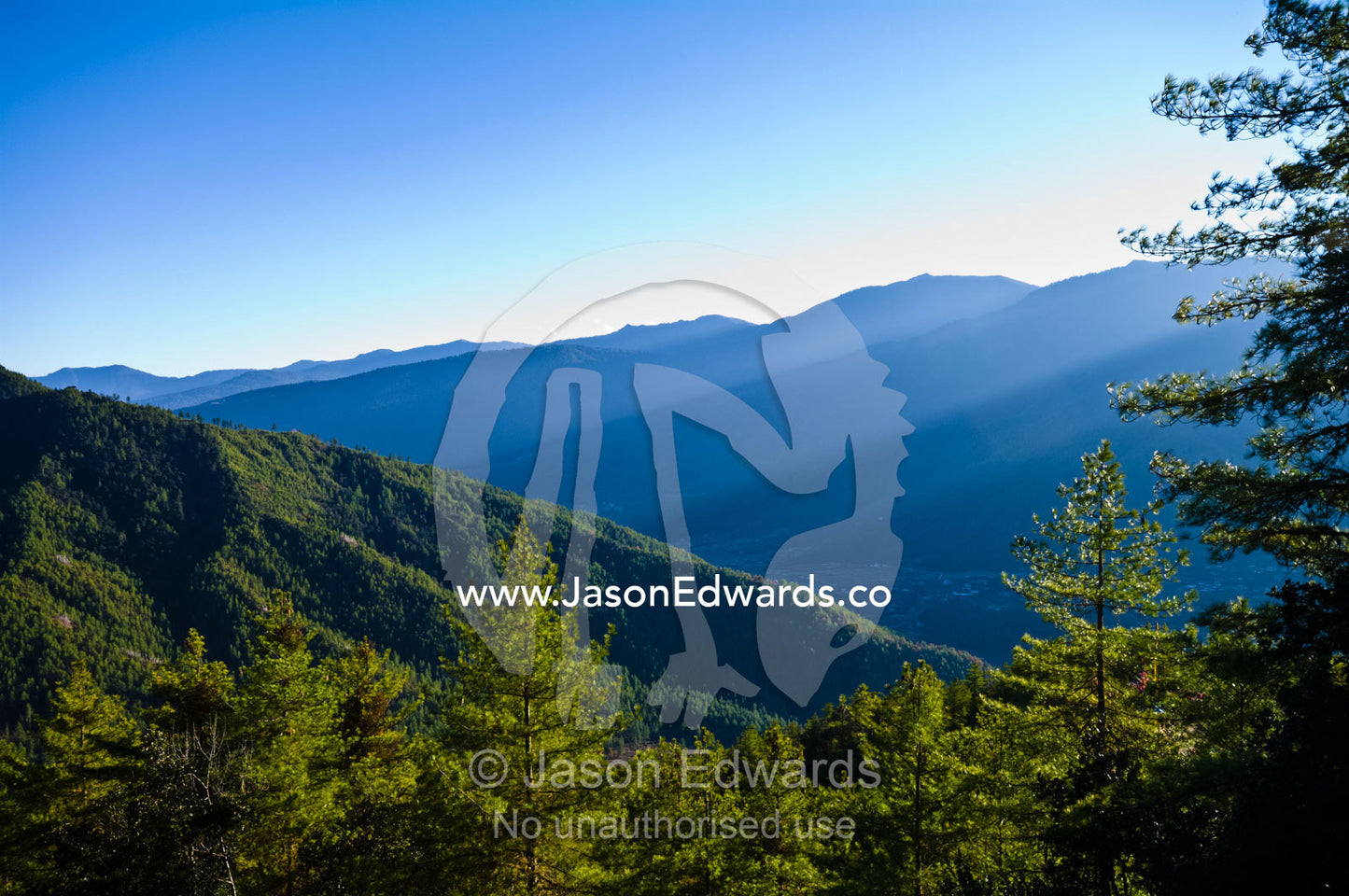 Shadows fall over a dense forest canopy covering a remote valley in the Himalaya. Paro Taktsang, The Tigers Nest, Paro Valley, Paro District, Bhutan.