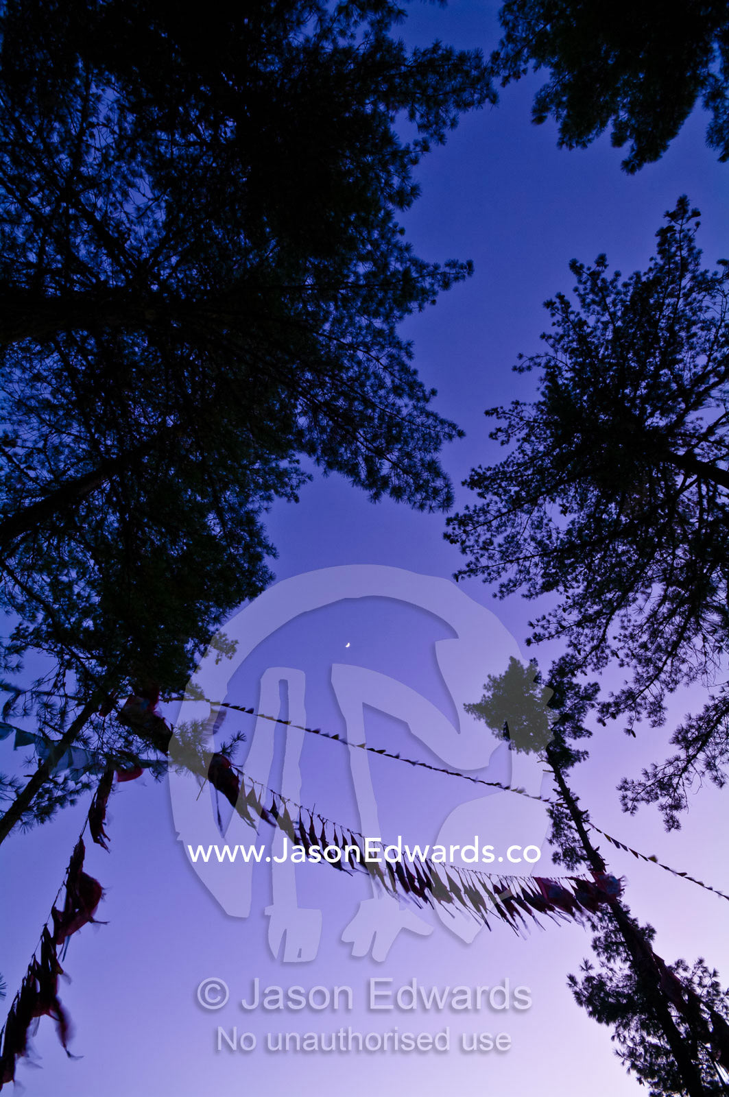 Red prayer flags flapping in the wind on a mountainside between conifer trees at twilight. Paro Taktsang, The Tigers Nest, Paro Valley, Paro District, Bhutan.