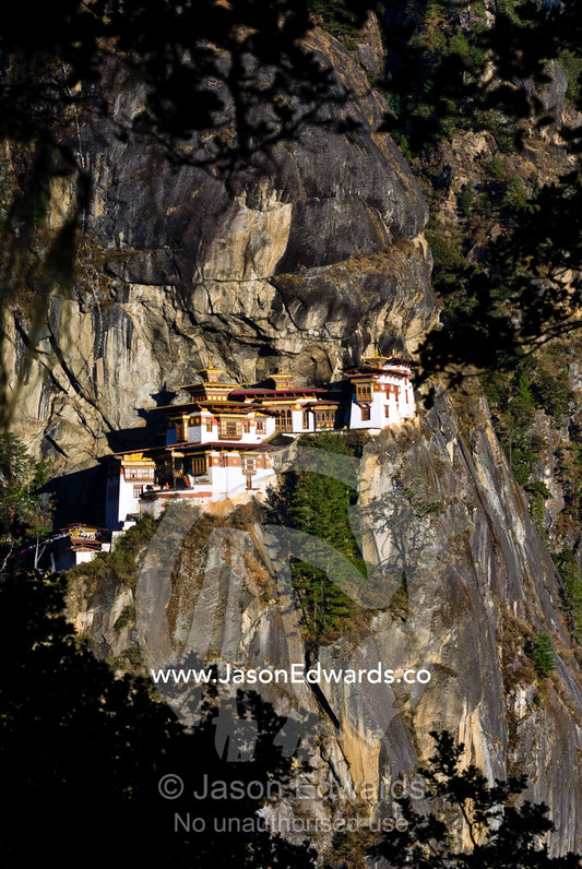 Peering through a forest canopy to a Buddhist monastery perched on a cliff face in the setting sun. Paro Taktsang, The Tigers Nest, Paro Valley, Paro District, Bhutan.