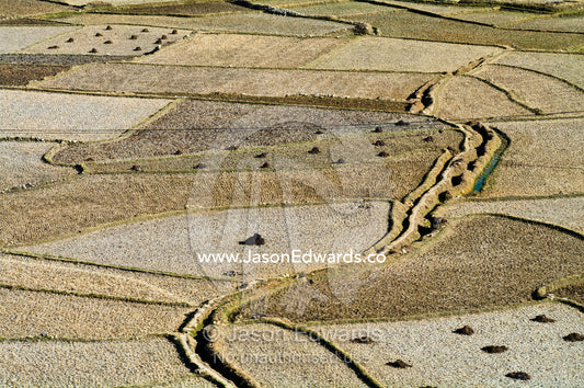Agricultural rice terraces in an alpine valley are dry during the summer months. Paro, Paro District, Bhutan.