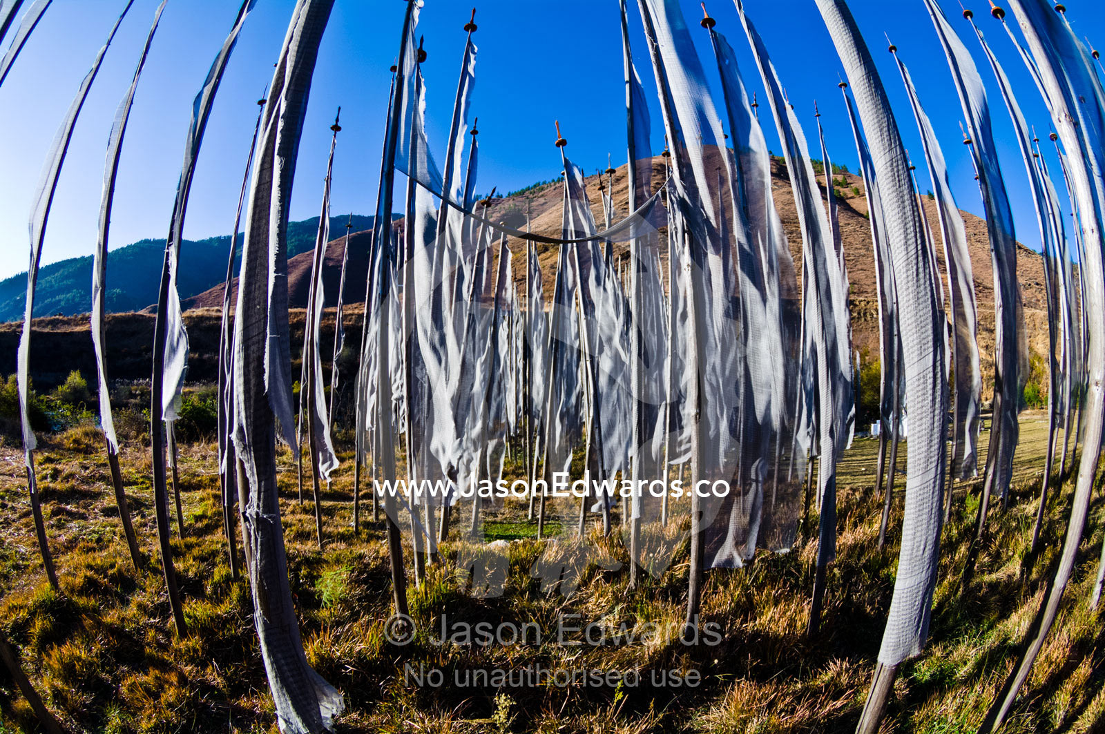 An alpine meadow full of prayer flags fluttering in the wind beneath a clear blue sky. Thimphu, Thimphu District, Bhutan.