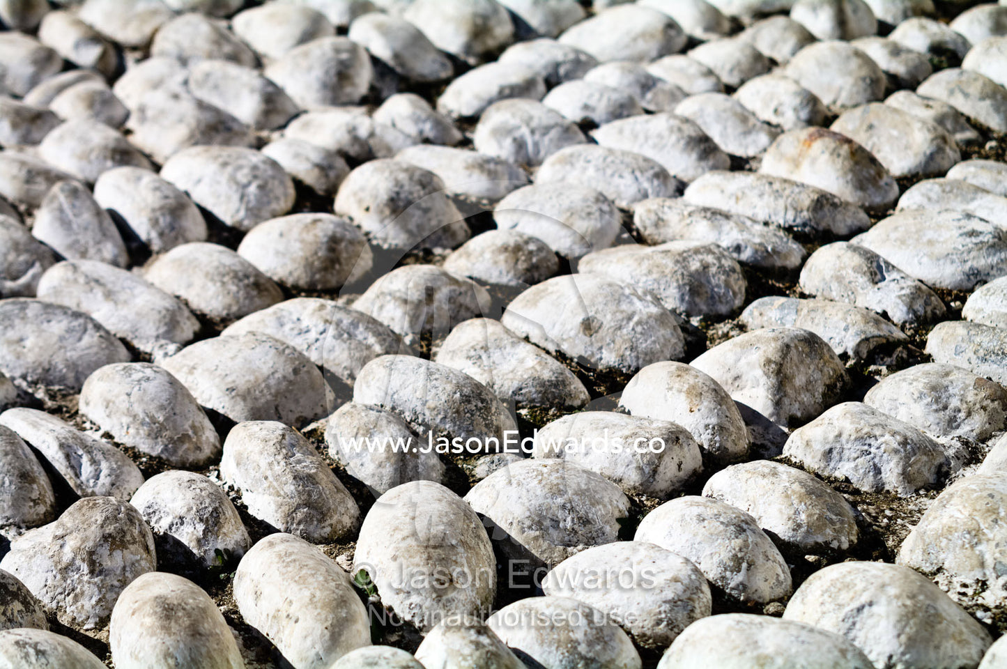 Neat rows of weathered white-washed stones at the Thimphu Memorial Chorten. Thimphu Memorial Chorten, Thimphu, Bhutan.