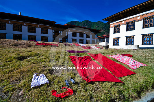 Freshly cleaned red Buddhist monk robes lying on the grass to dry in the sun. Pangri Zampa Astrology School, Thimphu, Thimphu District, Bhutan.