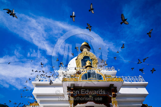 A flock of pigeons circle the golden spire of the Memorial Chorten beneath a blue sky. Thimphu Memorial Chorten, Thimphu Bhutan.