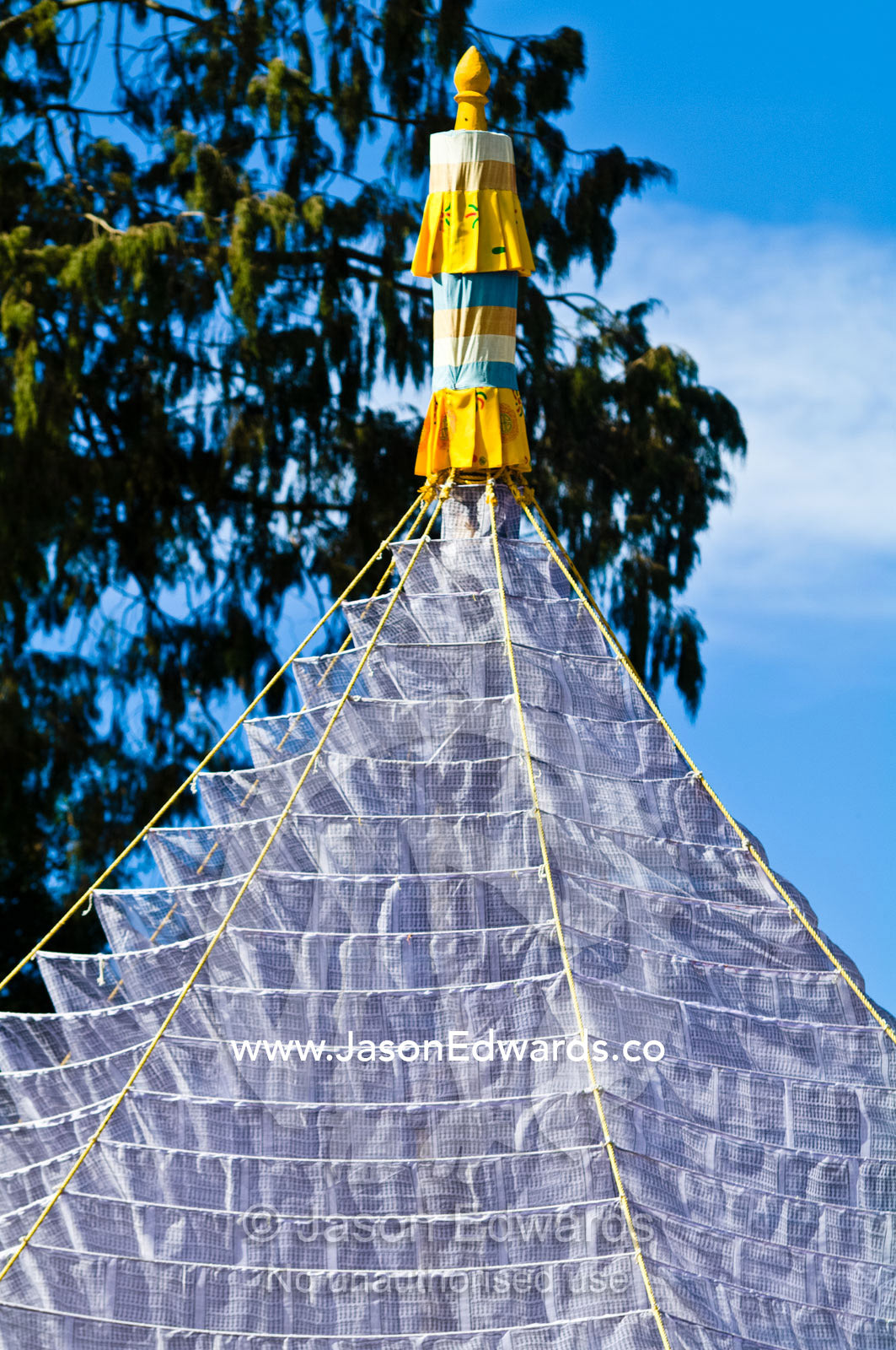 A display of prayer flags around a single tree trunk by a Buddhist trying to prevent deforestation for flag poles. Ganteng, Wangdue Phodrang District, Phobjika Valley, Phobjikha Valley, Gangteng Valley, Black Mountains, Bhutan.