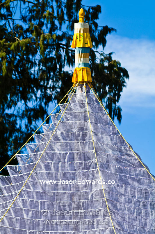 A display of prayer flags around a single tree trunk by a Buddhist trying to prevent deforestation for flag poles. Ganteng, Wangdue Phodrang District, Phobjika Valley, Phobjikha Valley, Gangteng Valley, Black Mountains, Bhutan.