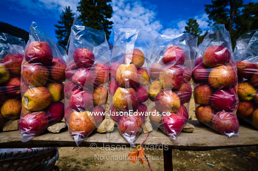 Fresh, organic apples for sale at a roadside stall in a Himalaya valley. Dochula Pass, Thimphu District, Bhutan.